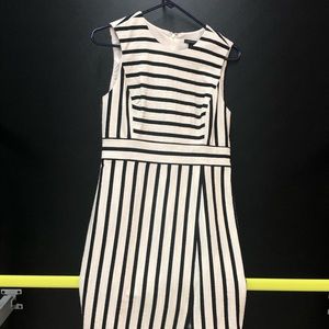 Ann Taylor, black and cream, knee length dress